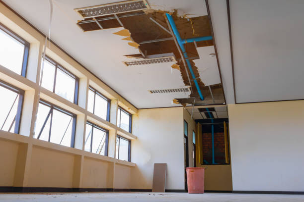Best Mold removal after water damage  in Mdleton, ID