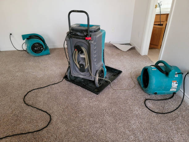 Best Carpet water damage restoration  in Mdleton, ID