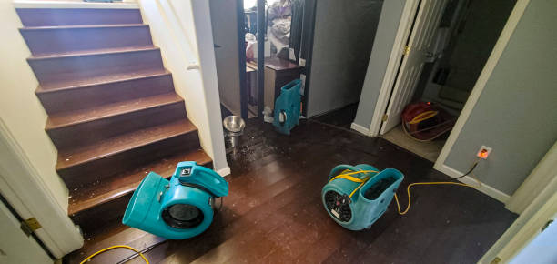 Best Water damage cleanup near me  in Mdleton, ID